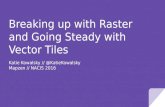 Breaking up with Raster and Going Steady with Vector Tiles
