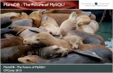 MariaDB - The Future of MySQL?