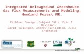 Integrated Belowground Greenhouse Gas Flux Measurements and Modeling, Howland Forest ME.