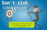 Don’t risk it – cyber secure it. Find out how and why cyber criminals target your website