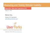 Measuring and Testing Website Usability