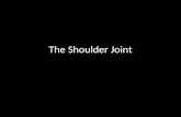 Slideshow: Shoulder Joint