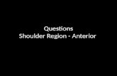 Exam Questions Shoulder Region - Anterior