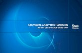 SAS Visual Analytics Hands-On