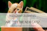 Instagram Celebrities: are they the new cats? - Targetsummit Berlin 2015