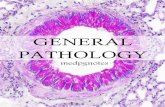 General pathology sample