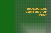 Biological control of pest