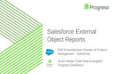 Salesforce Connect External Object Reports