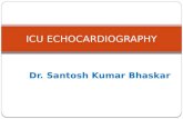 Icu echocardiography