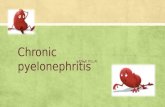 Chronic pyelonephritis