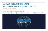 What is Blockchain Tech for Tokyo Blockchain Summit Dec 2015