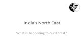 What is happening to our forests in Northeast India