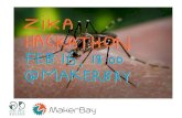 Introductory slides for the MakerBay/ODHK #ZikaHackathon