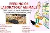 Feeding of laboratory animals by Dr.SUNIL KUMAR BOYA