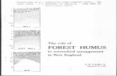 FOREST HUMUS
