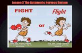 Lesson 2 autonomic nervous system
