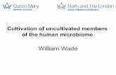 William Wade, Professor Oral Microbiology, Barts and The London School of Medicine and Dentistry