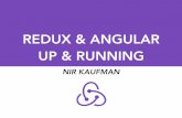 redux and angular - up and running