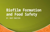 Biofilm Formation and Food Safety