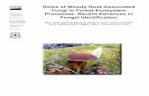 Roles of woody root-associated fungi in forest ecosystem processes