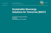 Sustainable Bioenergy Solutions for Tomorrow (BEST)