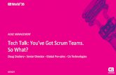 Tech Talk: Agile 101: You've Got Scrum Teams. So What?