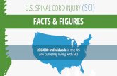 U.S. Spinal Cord Injury Statistics