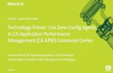 Technology Primer: Use Zero-Config Agents in CA Application Performance Management Command Center