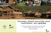 Forests, food security and nutrition: an update