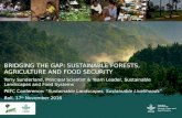 Bridging the gap: sustainable forests, agriculture and food security