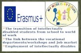 The transition of intellectually disabled students from school to world of work