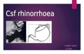 Csf rhinorrhoea