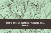 What’s hot in northern virginia real estate