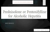 Stopah trial : prednisolone or pentoxiphylline in alcoholic hepatitis ?