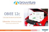 Obiee 12c: Look under the bonnet and test drive
