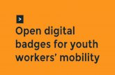 Guidelines for using Open Badges in European youth workers mobility