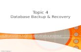 Topic 4 database recovery