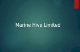 Marine hive limited crew manning