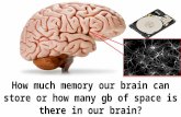Science Journal – How brain stores-retrieve memory & how much space is there