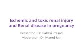 Ischemic and toxic renal injury and renal disease in pregnancy