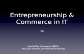 Entrepreneurship and Commerce in IT - 15 - Domains, SEO, Auctions, Portals, Communities