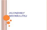 Secondary metabolites (1)