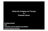 Molecular imaging and therapy in prostate cancer