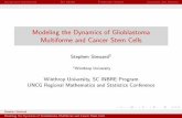 Modeling the Dynamics of Glioblastoma Multiforme and Cancer Stem Cells