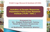 Activities of Genetic Resources Department Field Crops Research Institute (FCRI – ARC)