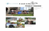 A Week On Our Tabango Program In The Philippines