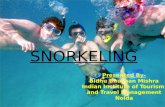 water sports, Snorkeling by Bidhu B Mishra