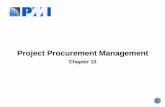 Pmp procurement chapter 12