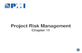 Pmp risk chapter 11