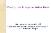 Deep neck infection